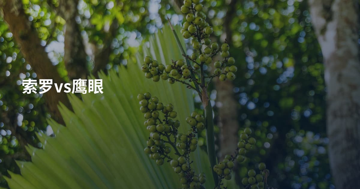 索罗vs鹰眼