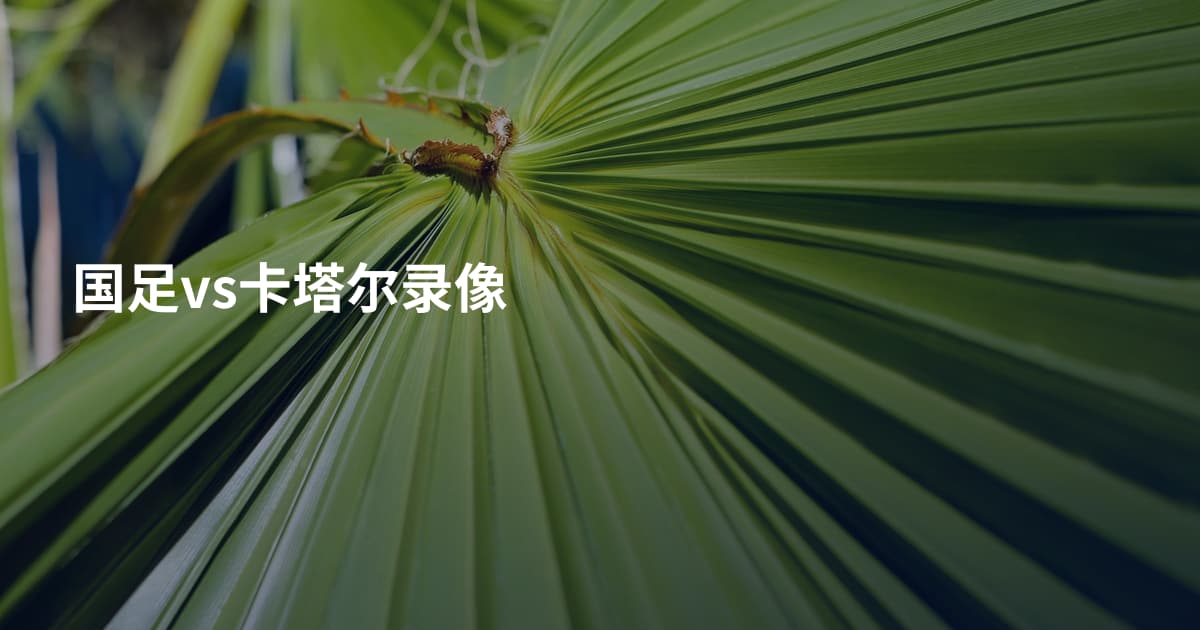 国足vs卡塔尔录像