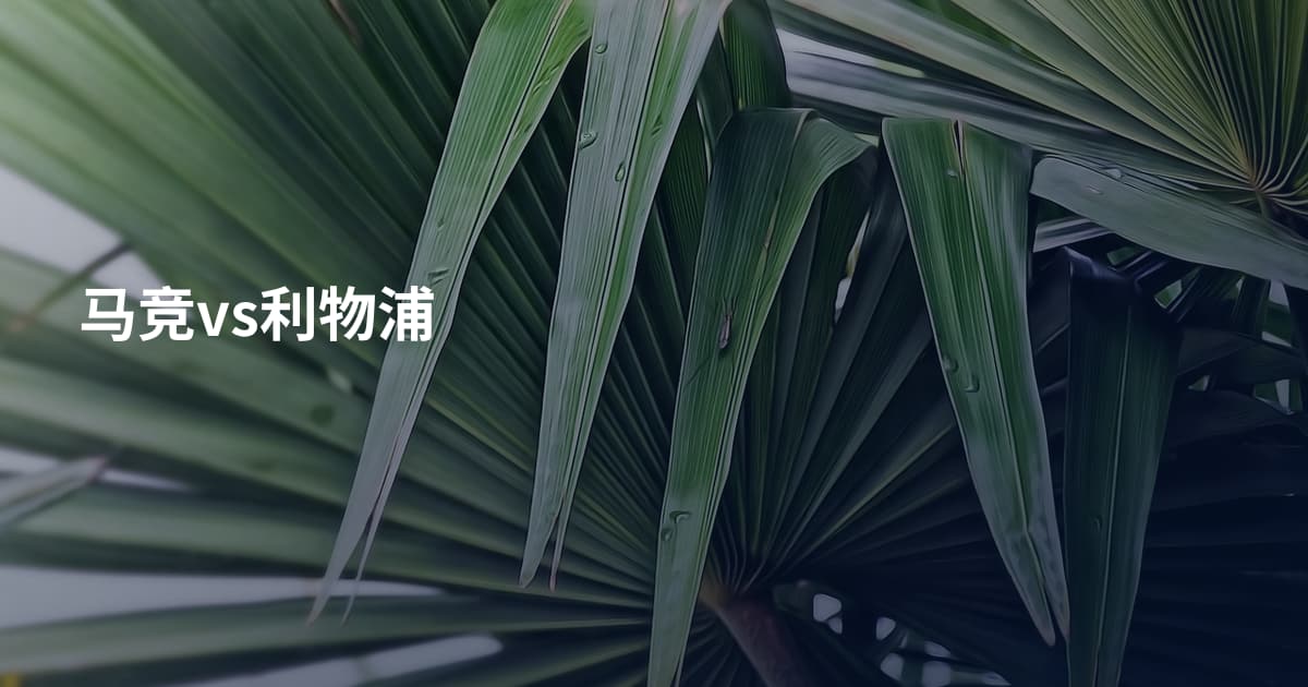 马竞vs利物浦