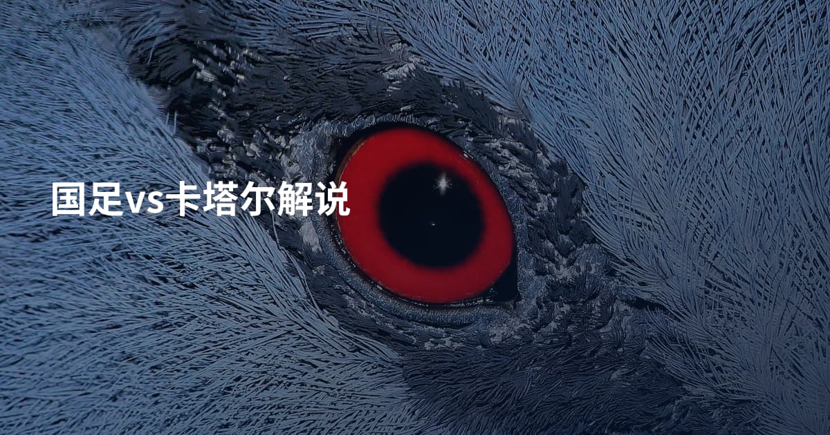 国足vs卡塔尔解说