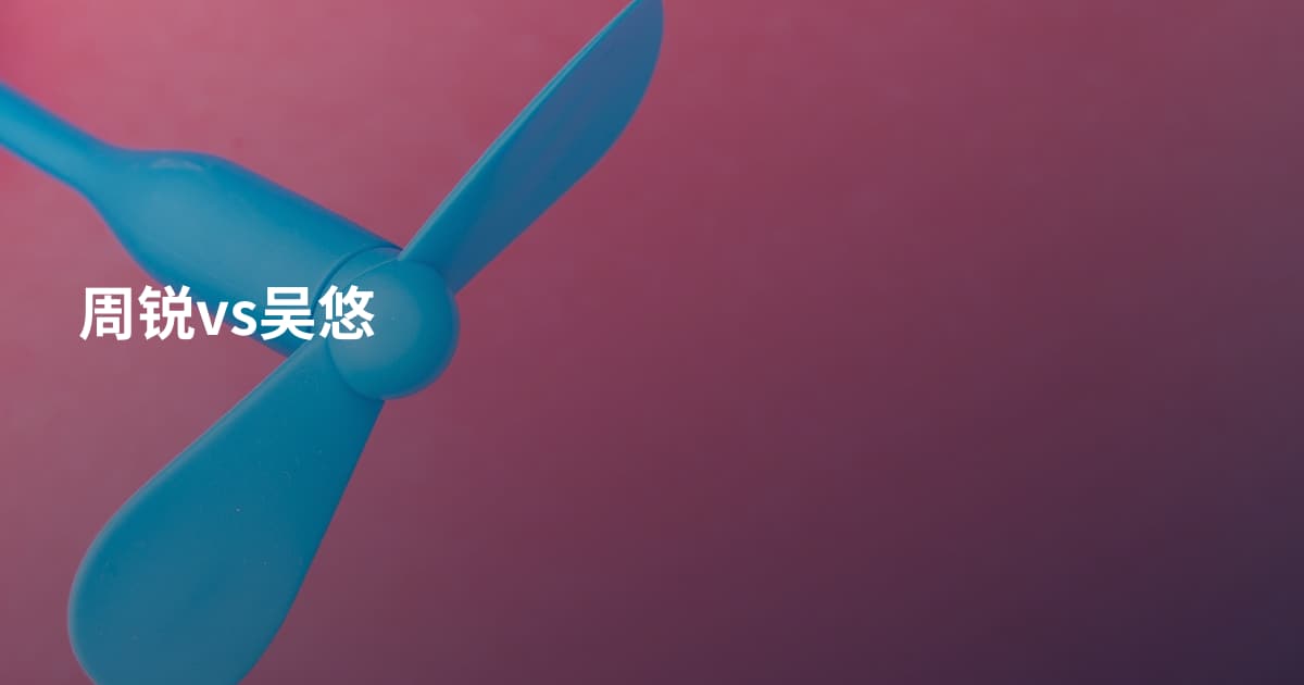 周锐vs吴悠