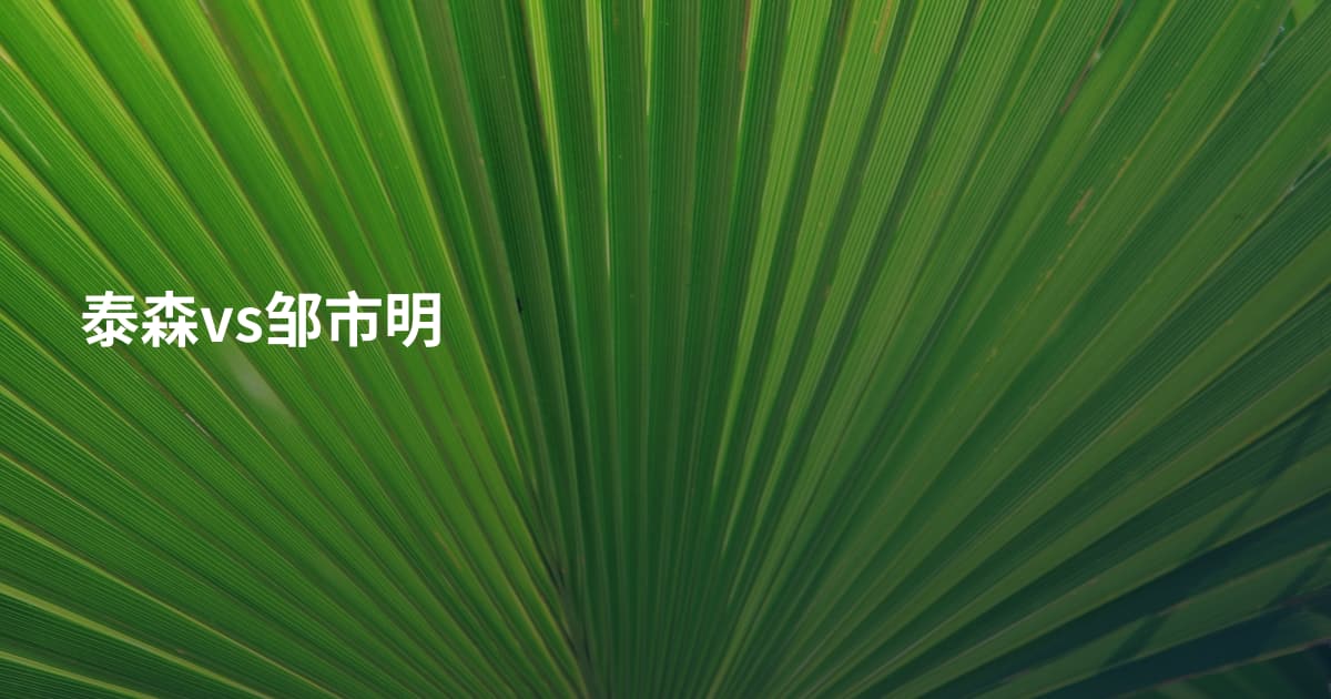 泰森vs邹市明
