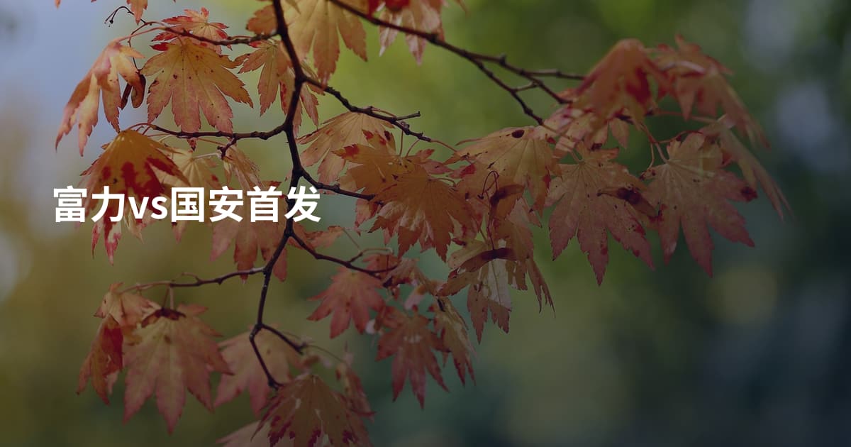富力vs国安首发