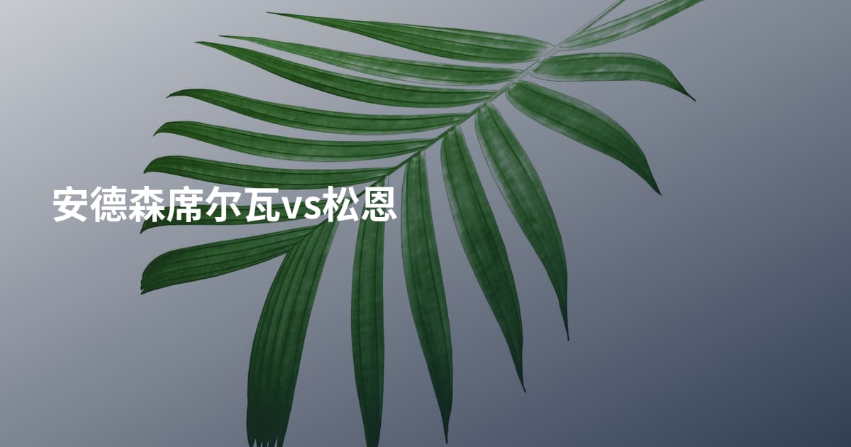 安德森席尔瓦vs松恩