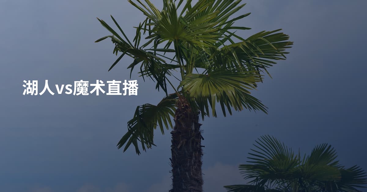 湖人vs魔术直播