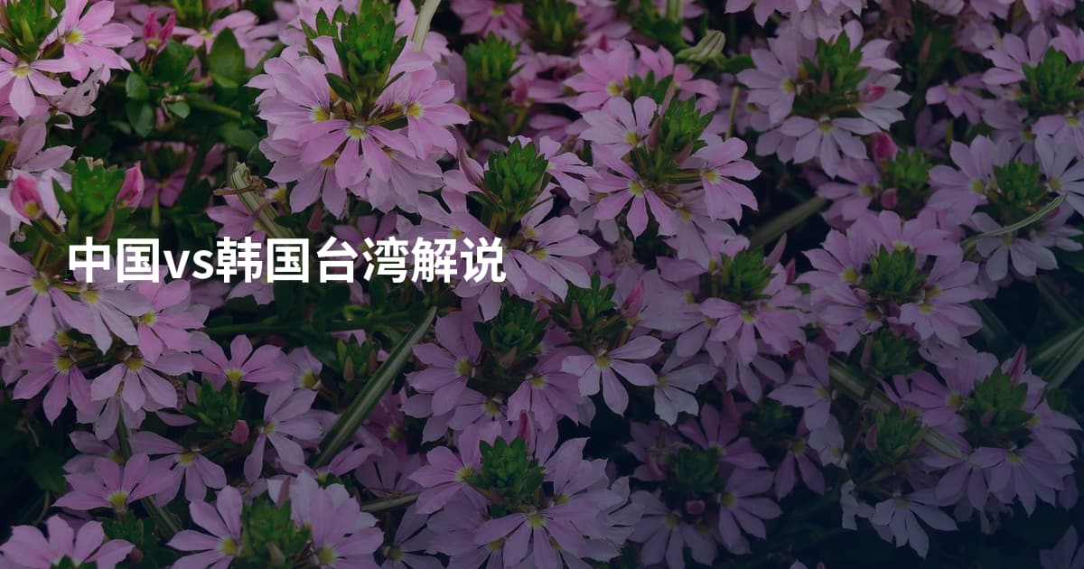 中国vs韩国台湾解说