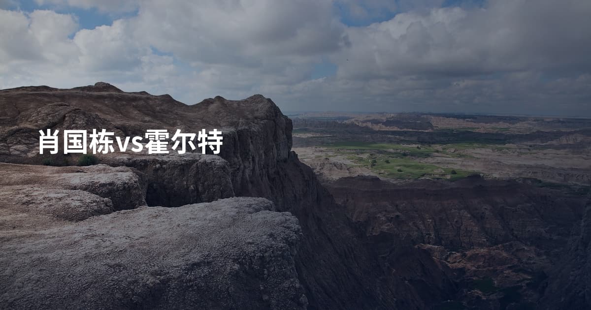 肖国栋vs霍尔特