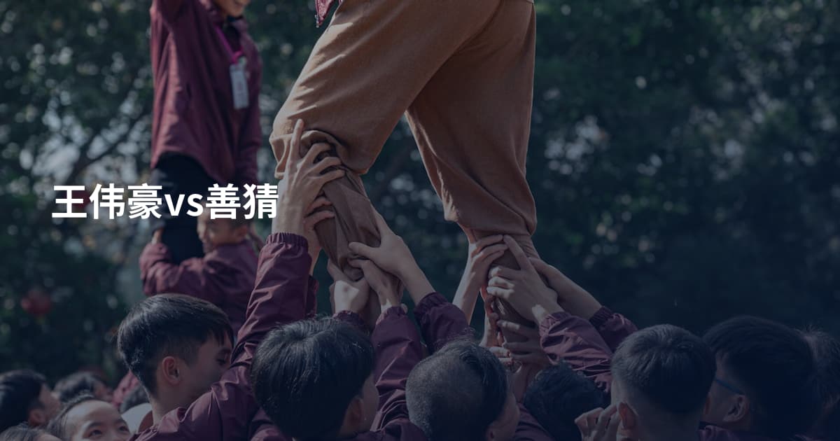 王伟豪vs善猜