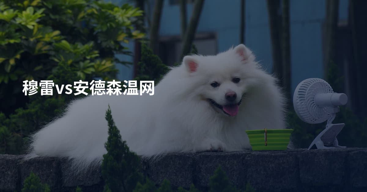 穆雷vs安德森温网