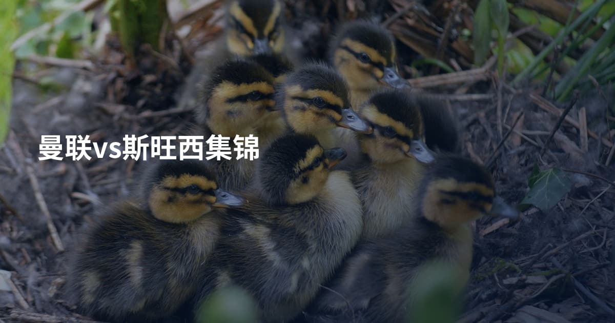 曼联vs斯旺西集锦