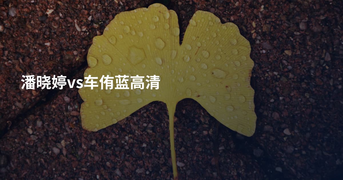 潘晓婷vs车侑蓝高清