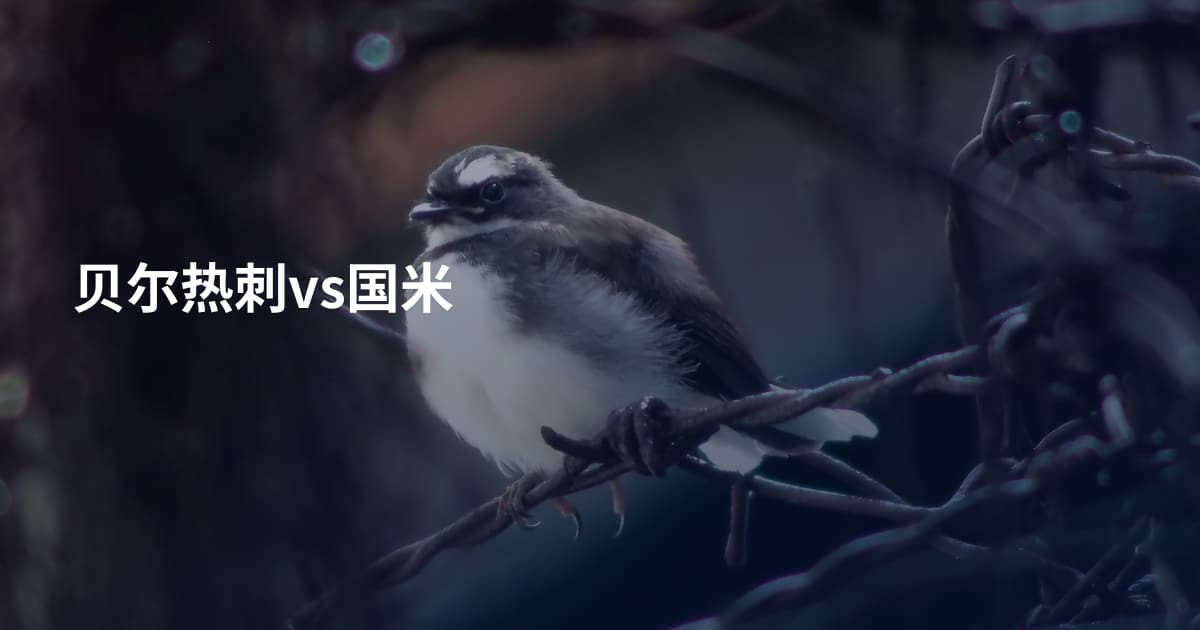 贝尔热刺vs国米