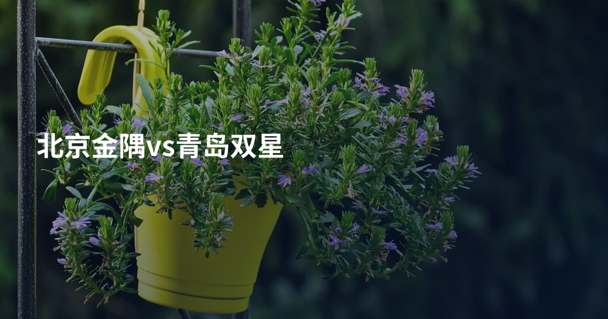 北京金隅vs青岛双星