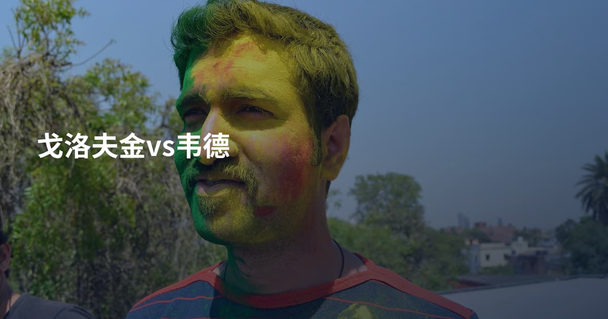 戈洛夫金vs韦德