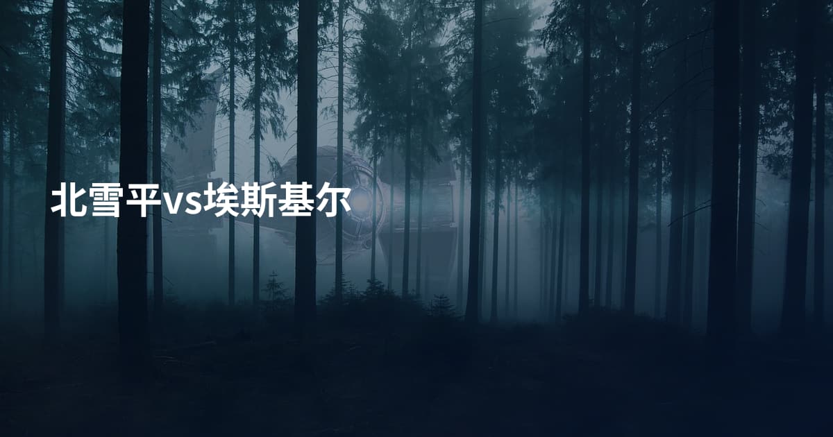 北雪平vs埃斯基尔