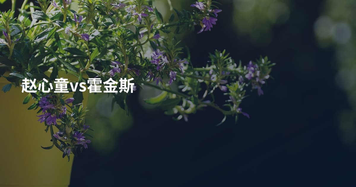 赵心童vs霍金斯
