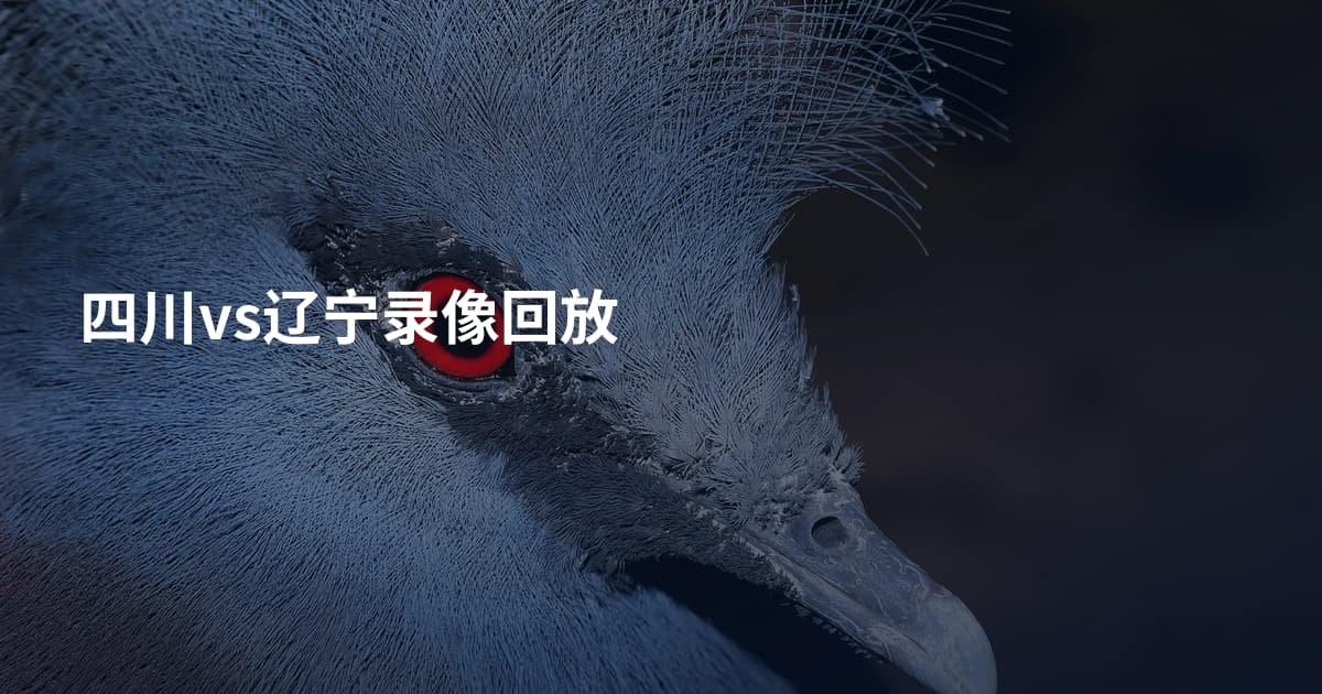 四川vs辽宁录像回放