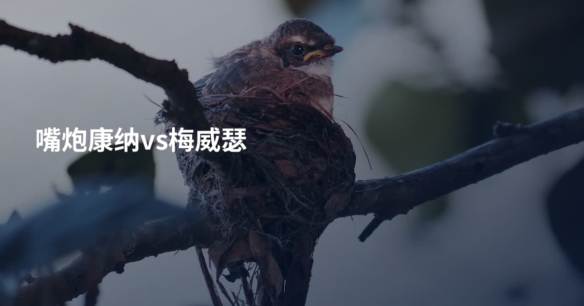 嘴炮康纳vs梅威瑟