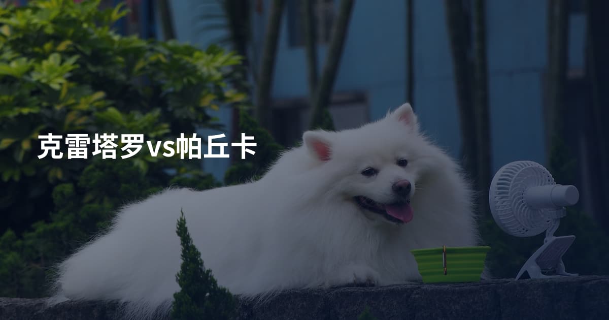 克雷塔罗vs帕丘卡