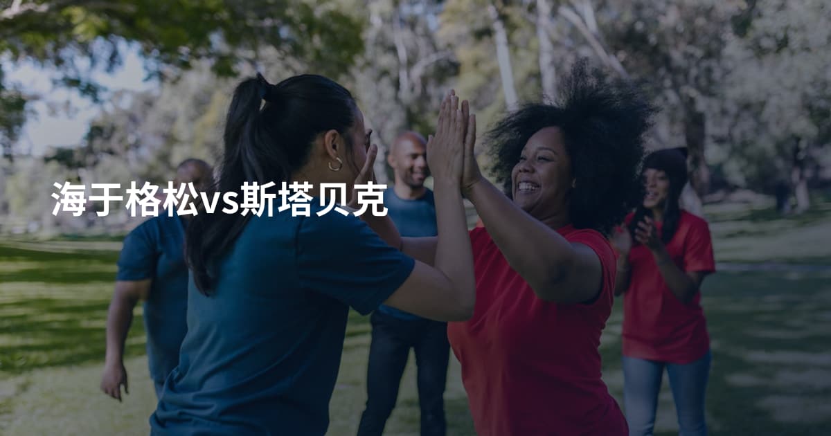海于格松vs斯塔贝克