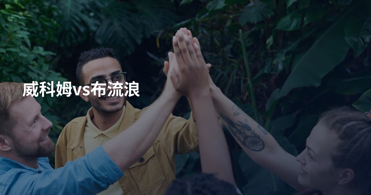 威科姆vs布流浪