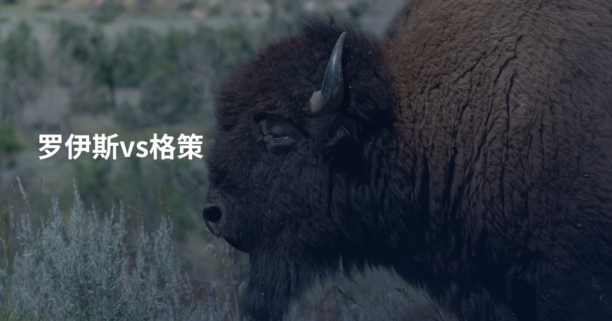 罗伊斯vs格策