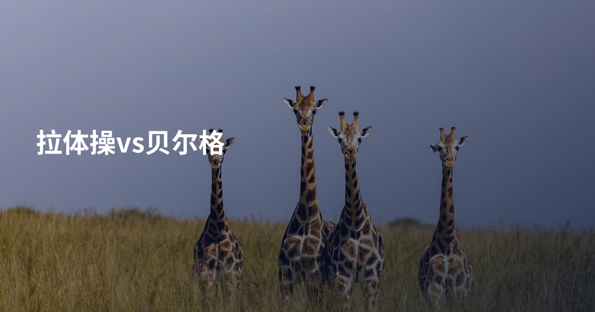 拉体操vs贝尔格