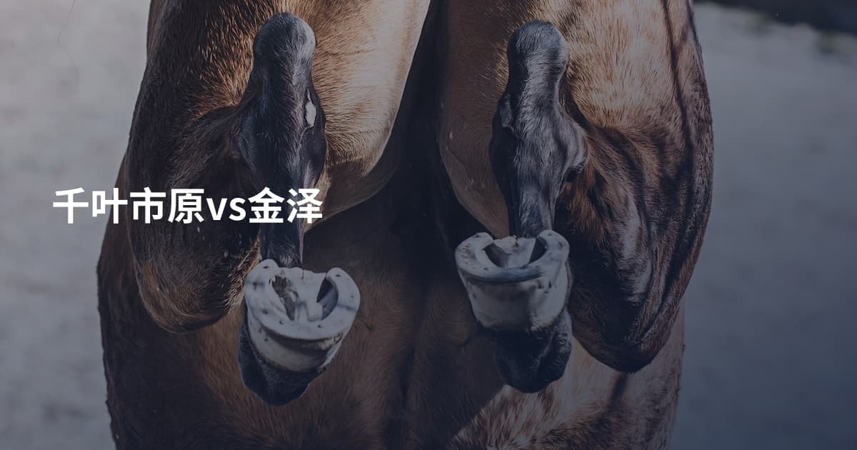 千叶市原vs金泽