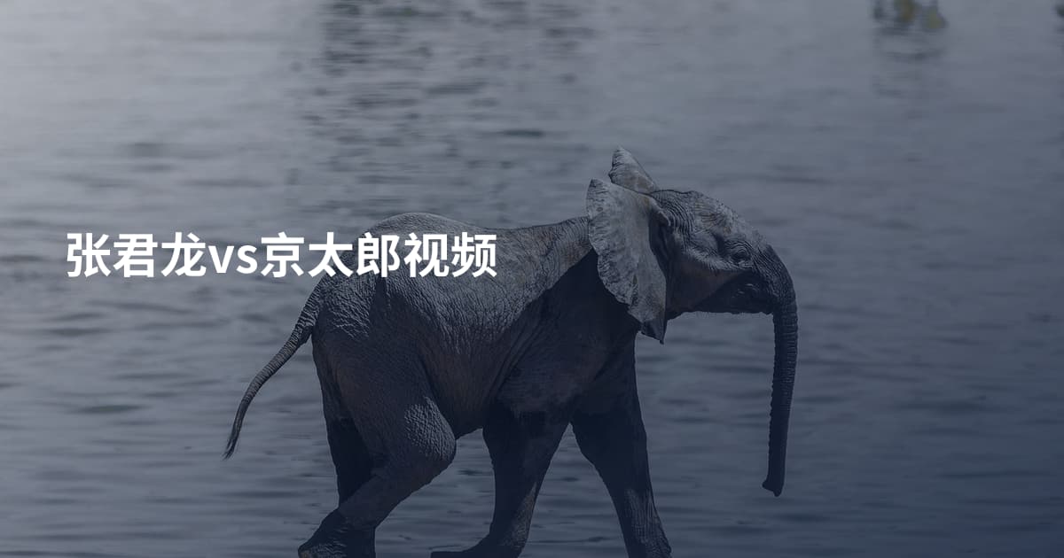 张君龙vs京太郎视频