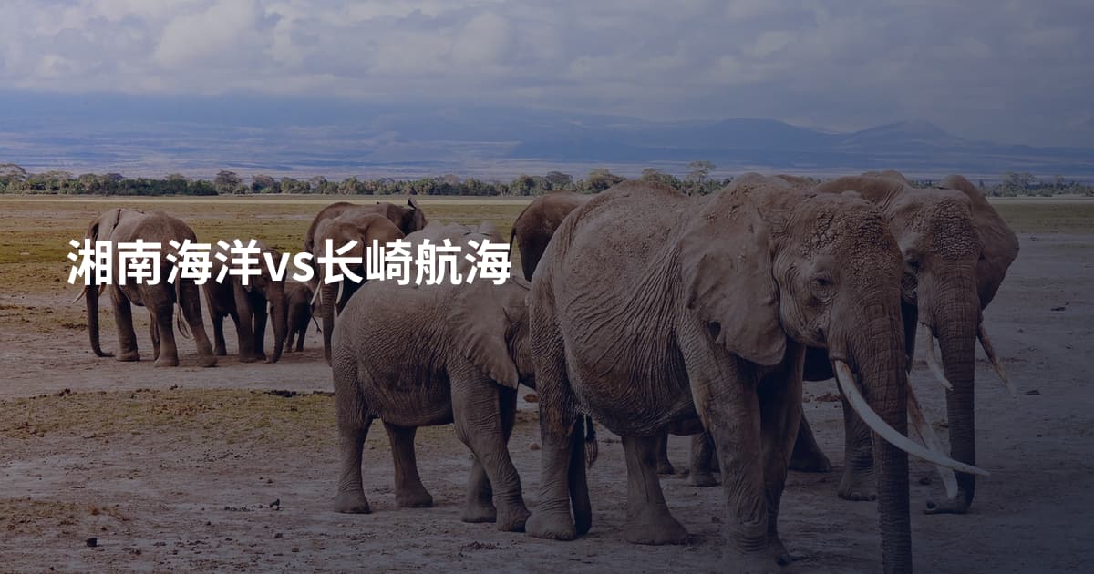 湘南海洋vs长崎航海
