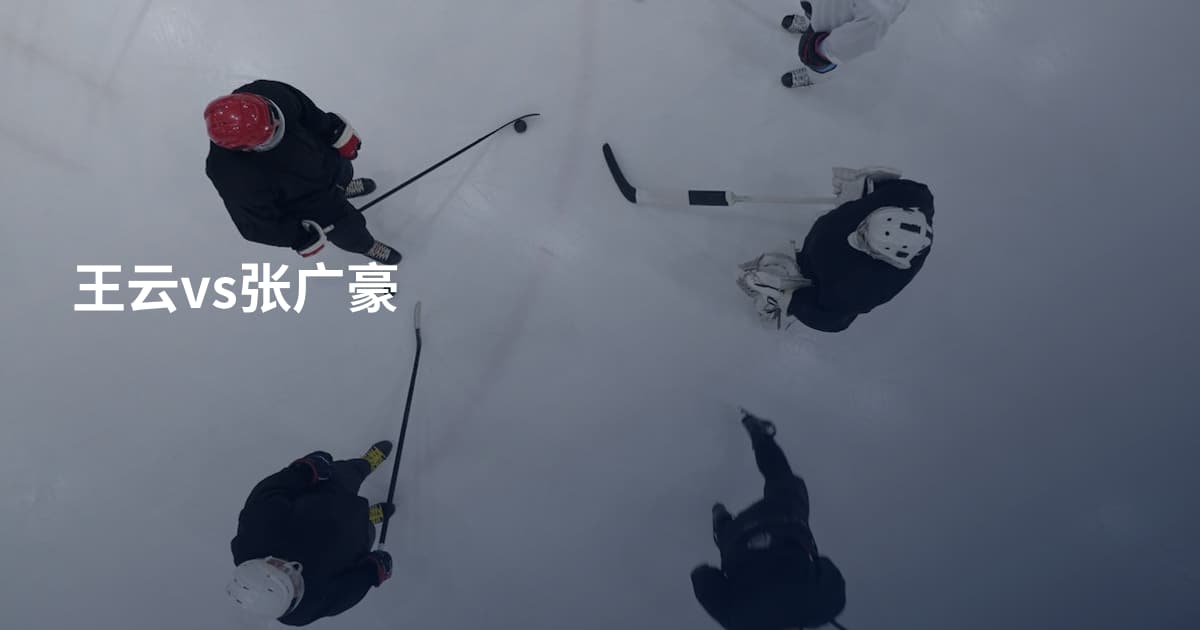 王云vs张广豪
