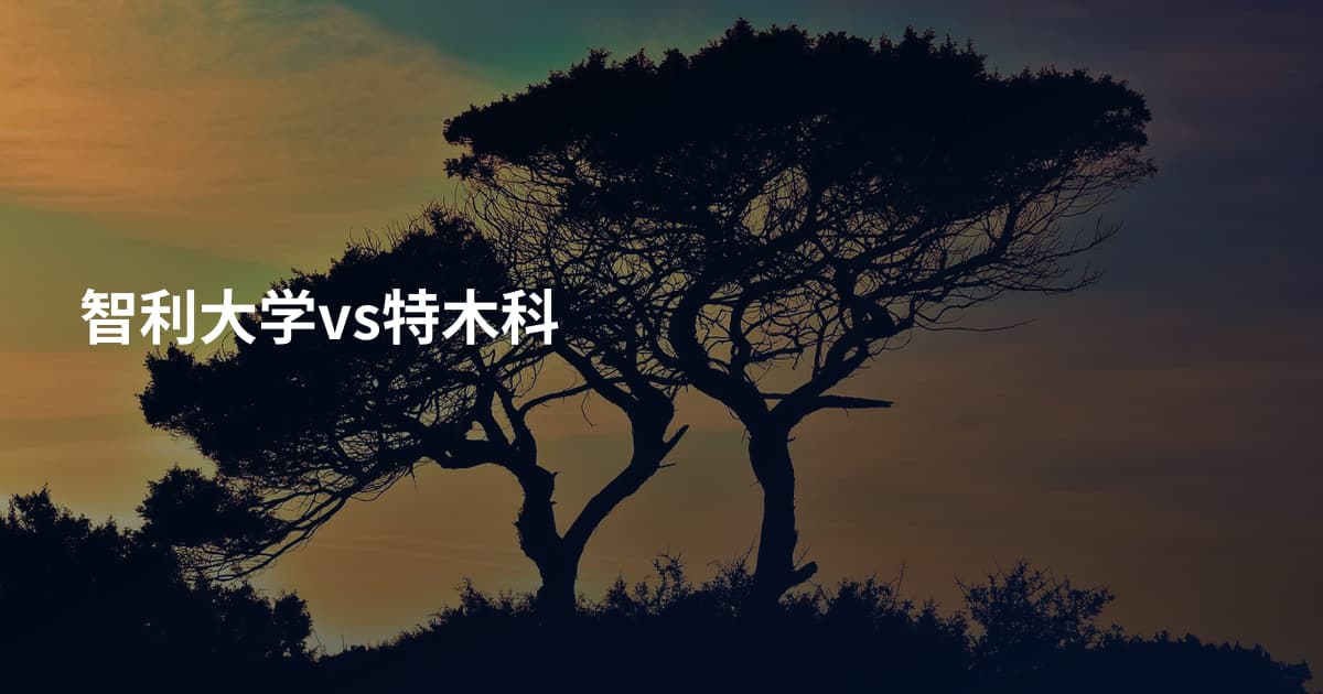 智利大学vs特木科