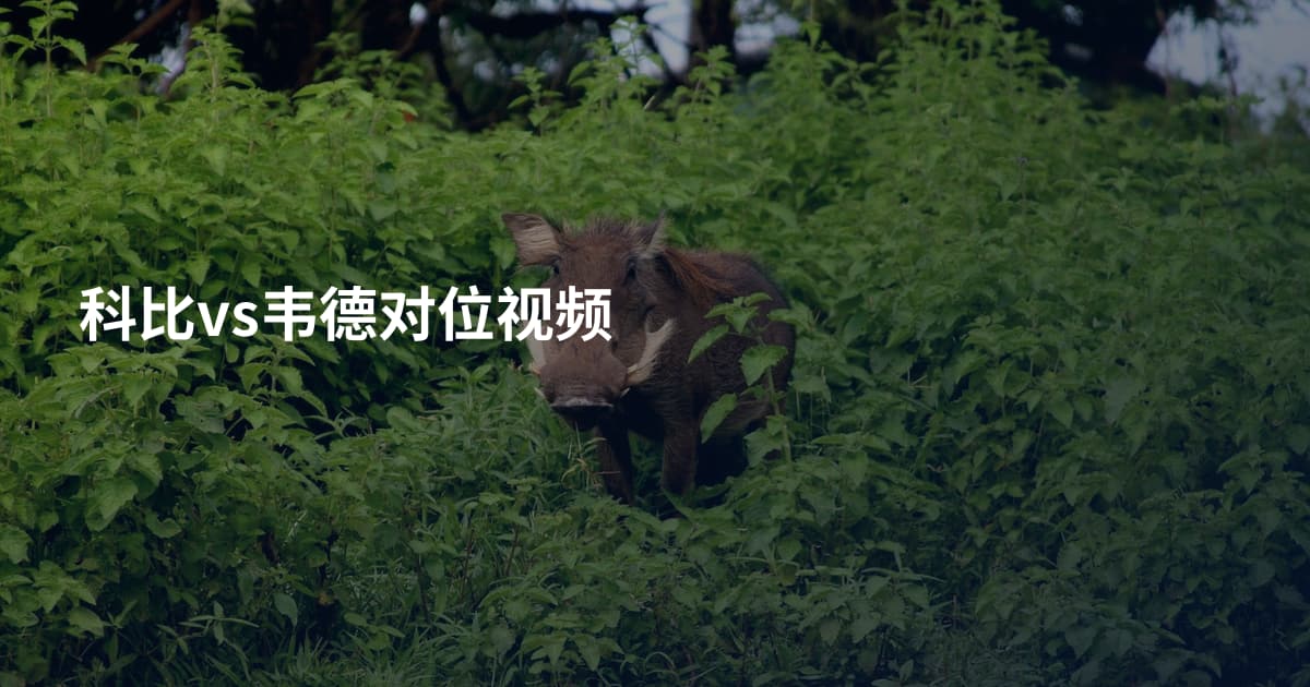 科比vs韦德对位视频