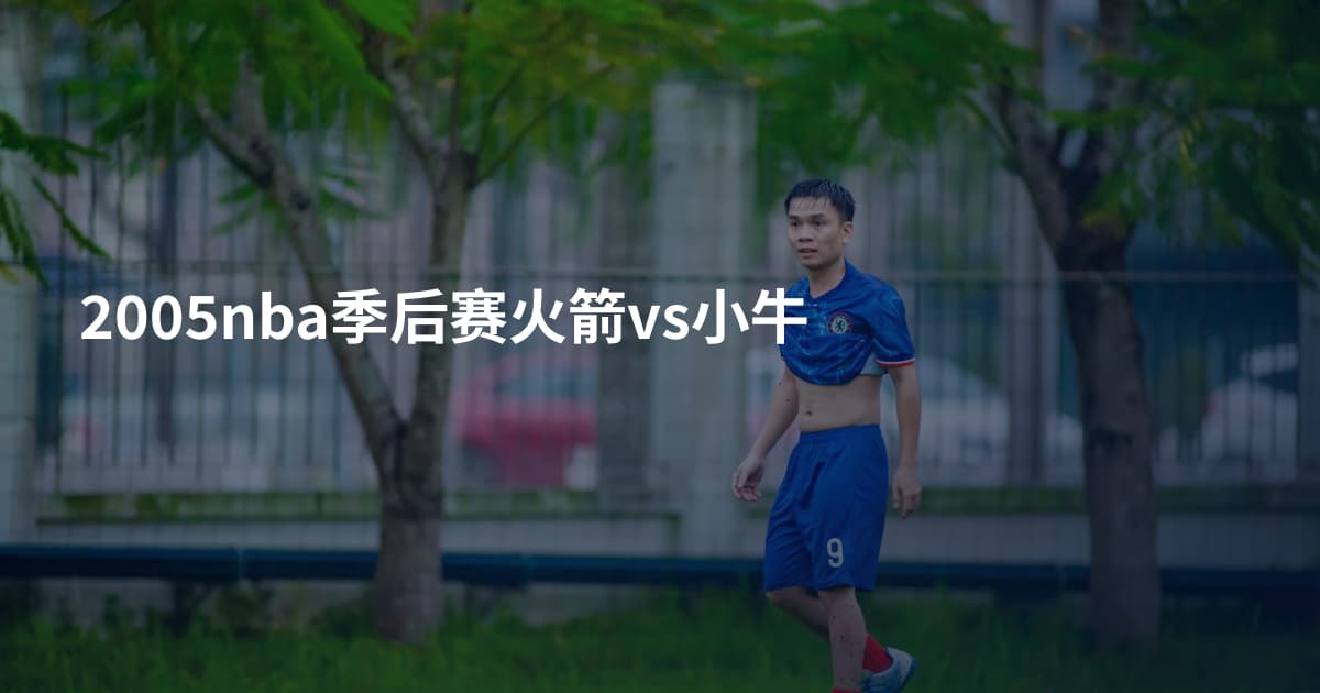 2005nba季后赛火箭vs小牛