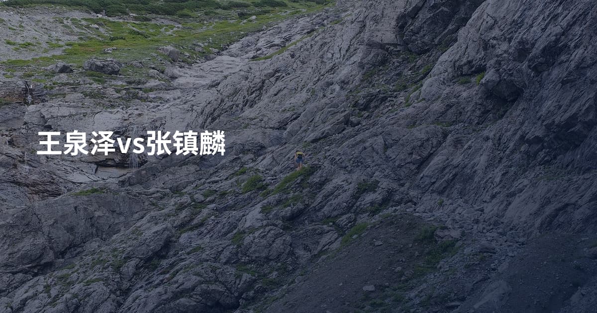 王泉泽vs张镇麟