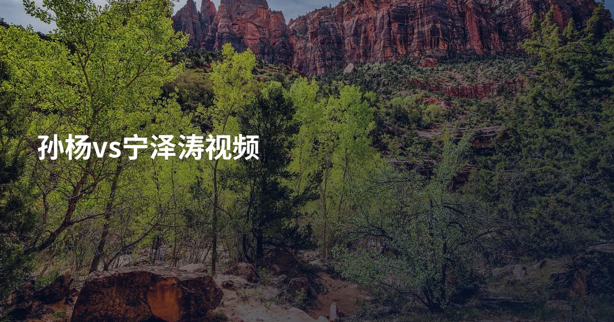 孙杨vs宁泽涛视频