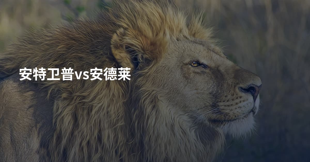 安特卫普vs安德莱