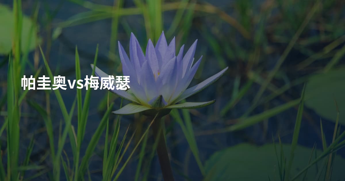 帕圭奥vs梅威瑟