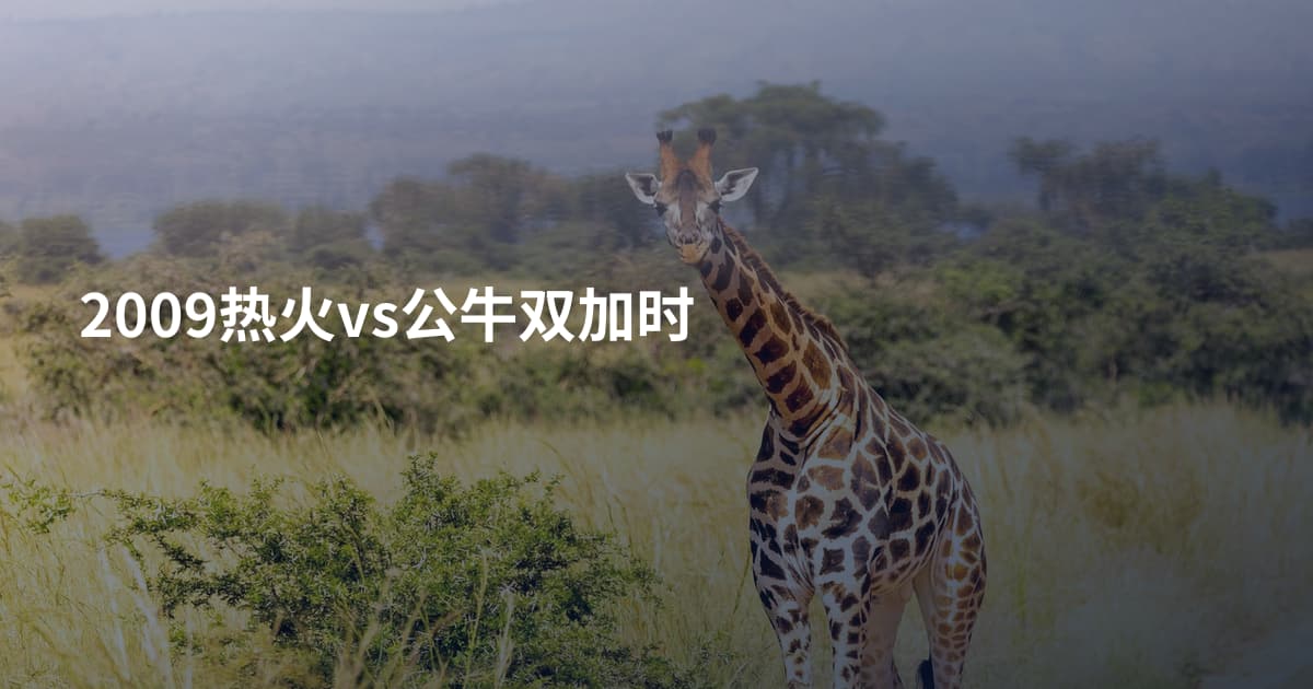 2009热火vs公牛双加时