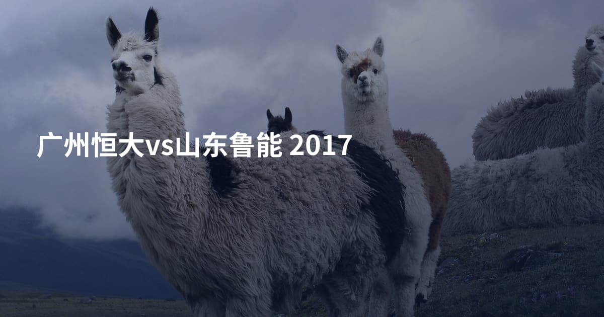广州恒大vs山东鲁能 2017
