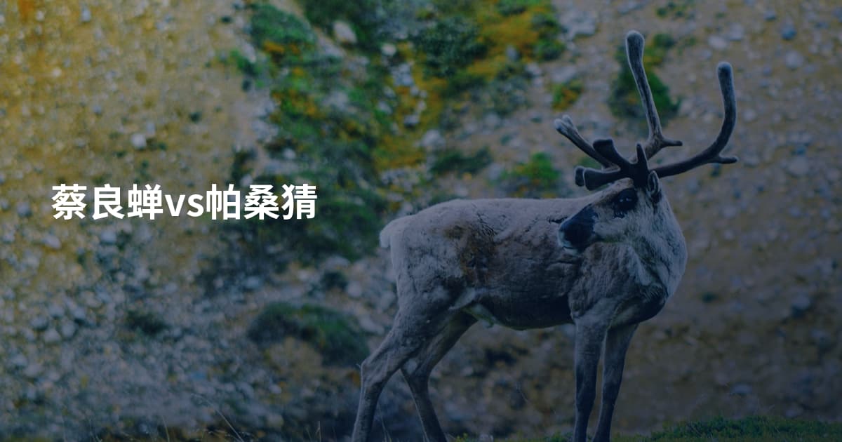 蔡良蝉vs帕桑猜