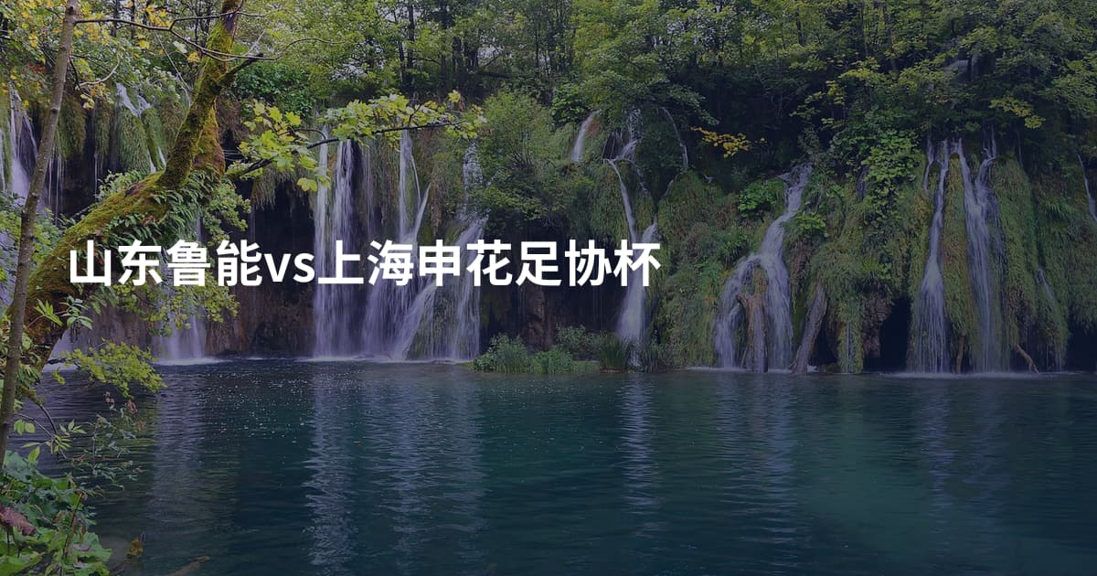 山东鲁能vs上海申花足协杯