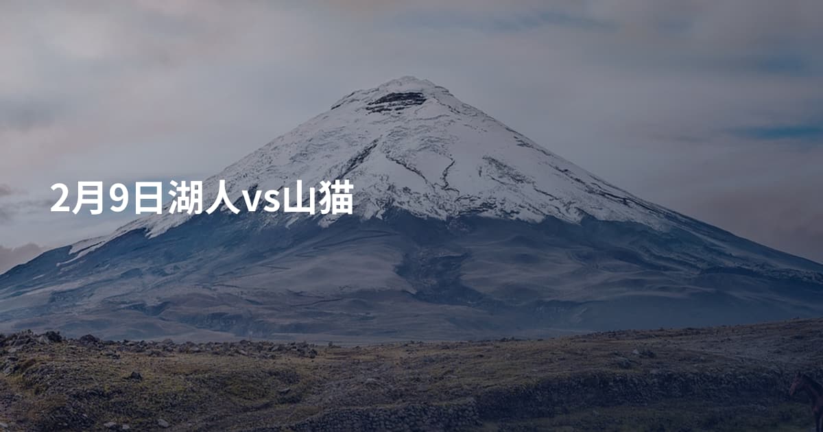 2月9日湖人vs山猫