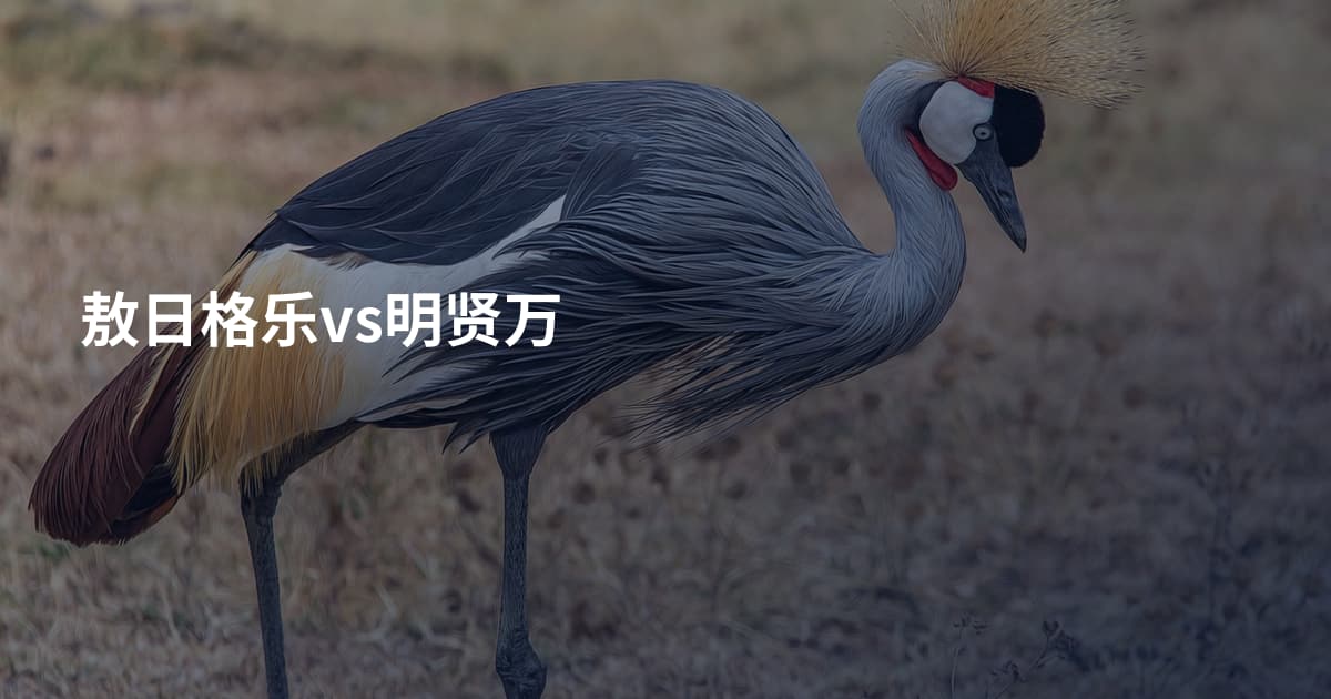 敖日格乐vs明贤万