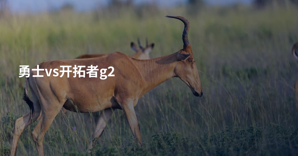 勇士vs开拓者g2