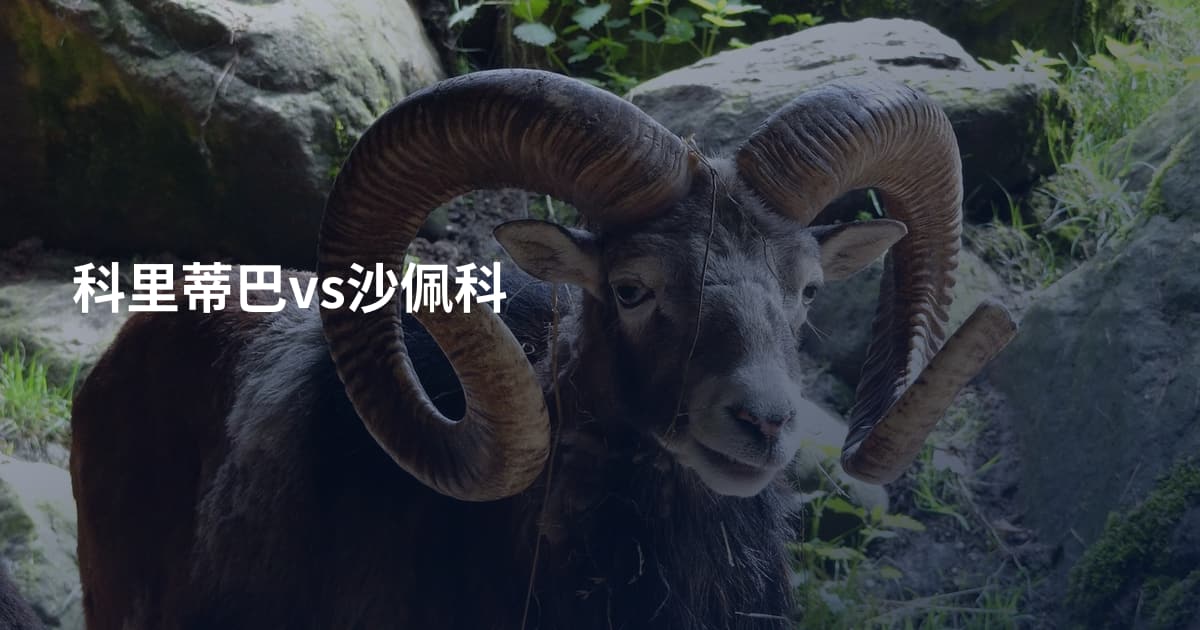 科里蒂巴vs沙佩科