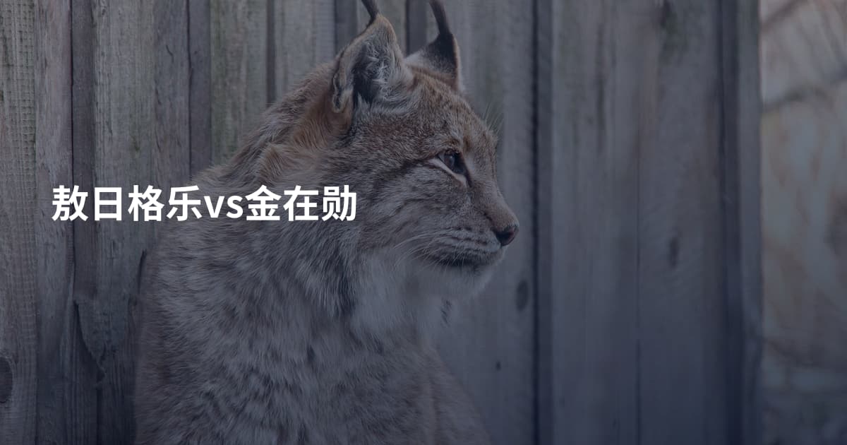 敖日格乐vs金在勋