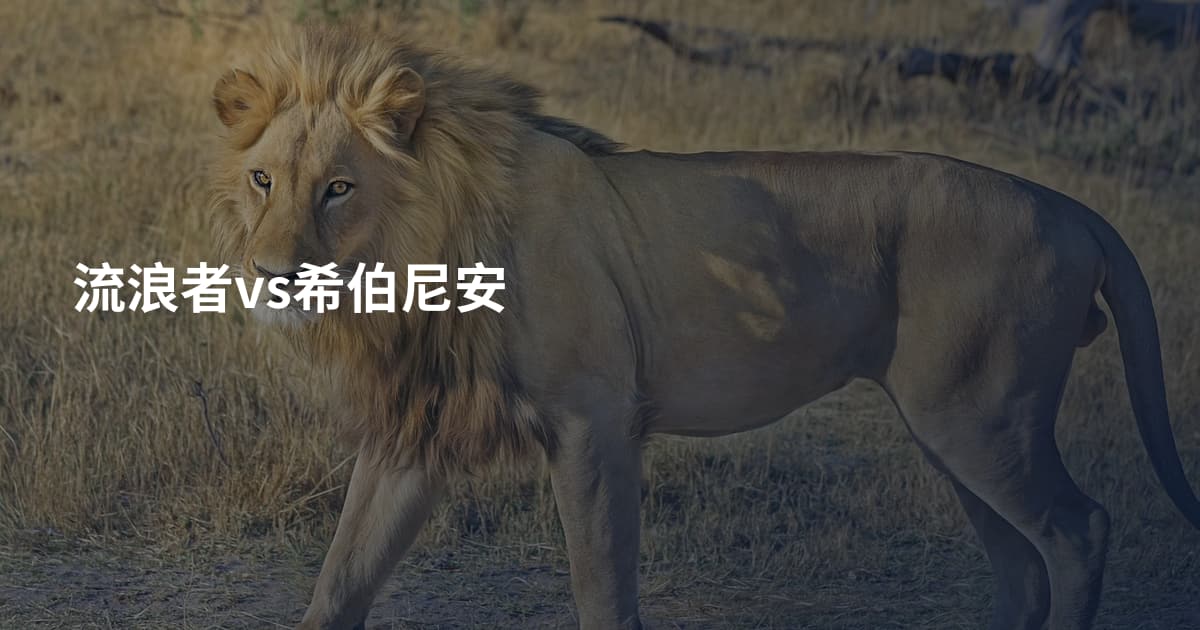 流浪者vs希伯尼安