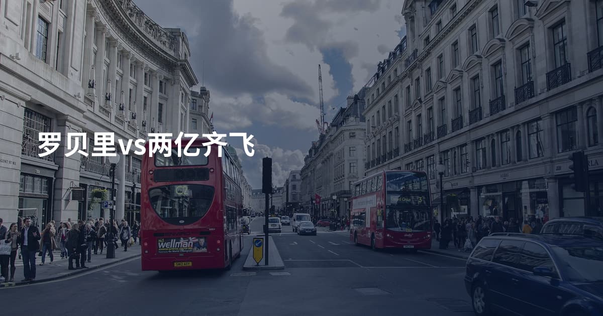 罗贝里vs两亿齐飞