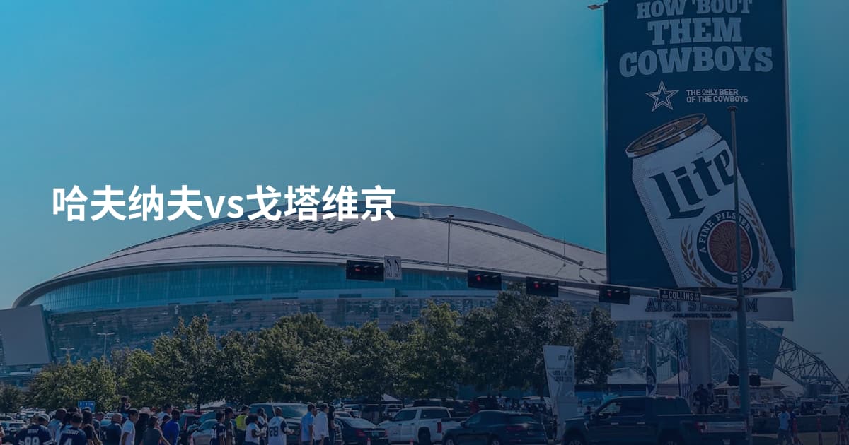 哈夫纳夫vs戈塔维京